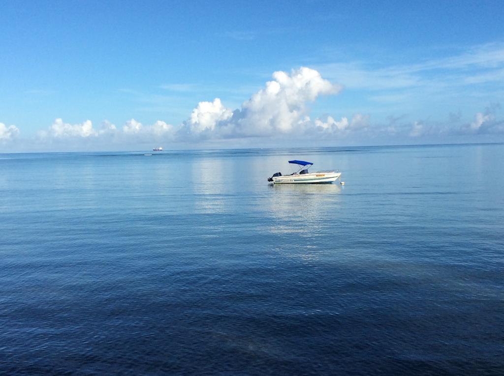 The Beach House Rodrigues Bambou ภายนอก รูปภาพ